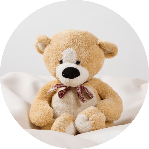 teddy