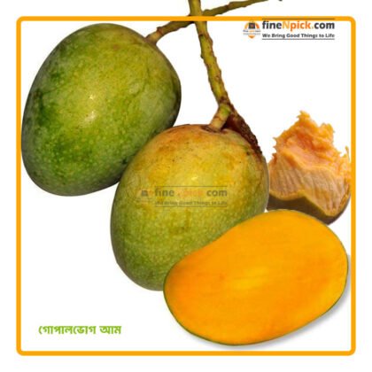রাজশাহীর গোপালভোগ আম (প্রিমিয়াম) ফ্রী ডেলিভারি