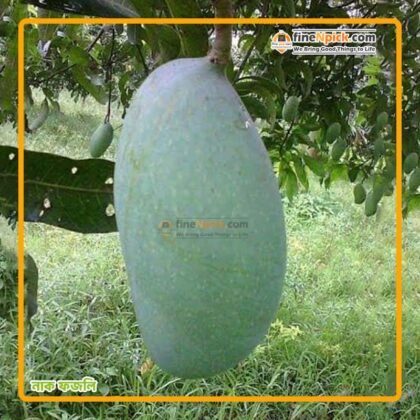 নাক ফজলি আম (স্ট্যান্ডার্ড) ফ্রী ডেলিভারি