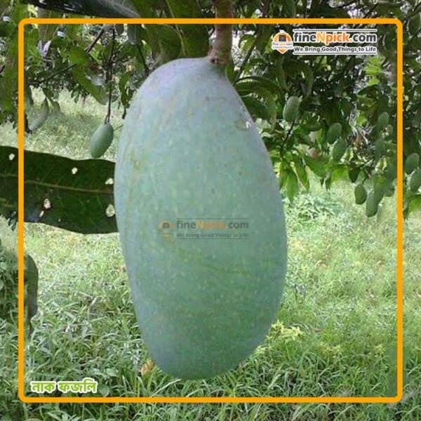 নাক ফজলি আম (স্ট্যান্ডার্ড) ফ্রী ডেলিভারি