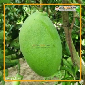 তোতাপুরী আম