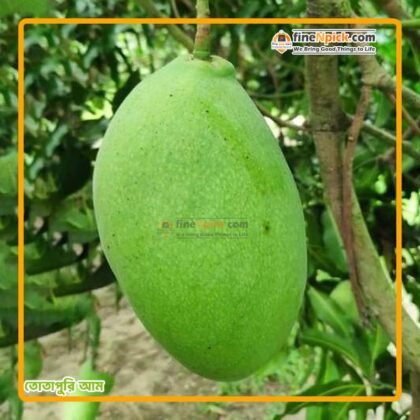 তোতাপুরী আম (স্ট্যান্ডার্ড) ফ্রী ডেলিভারি