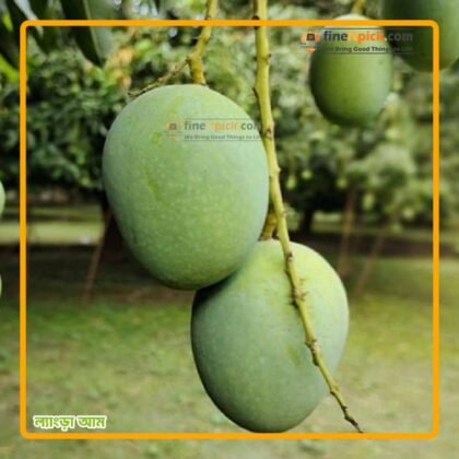 ল্যাংড়া আম (প্রিমিয়াম) ফ্রী ডেলিভারি